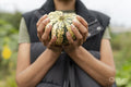 Mid section of woman holding homegrown gourd in urban garden