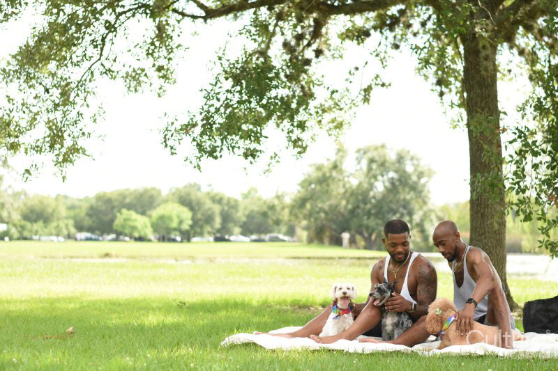 Louisiana, couple with dogs having picnic on lawn in park