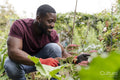 Portrait of smiling man working in urban garden