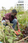 Man working in urban garden