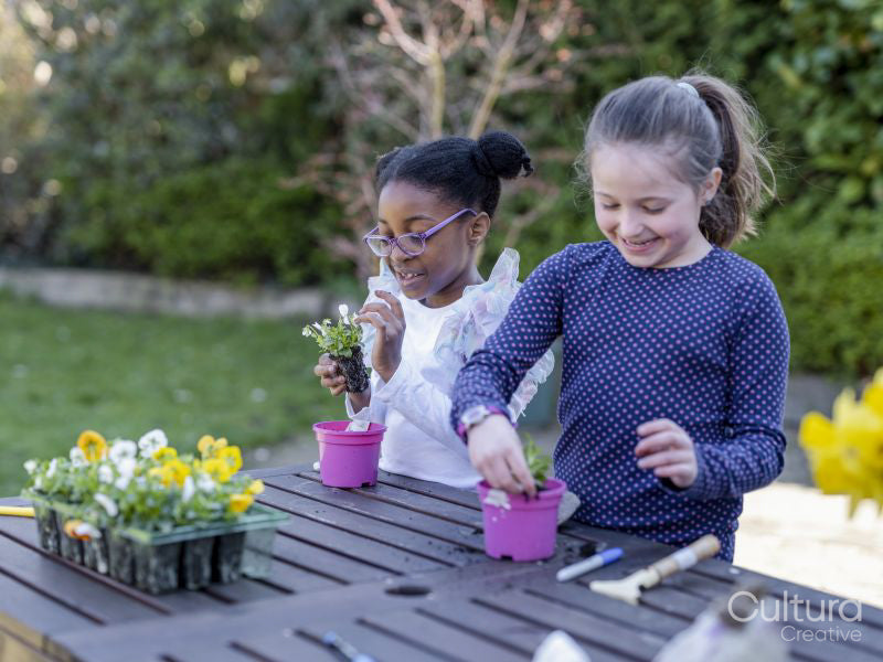 Girl friends potting plants in back yard