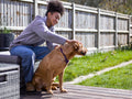 Girl with dog in backyard