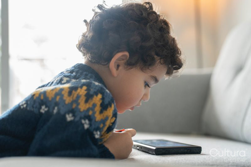 Boy using digital tablet at home