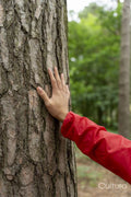 Close-up of man touching tree in forest
