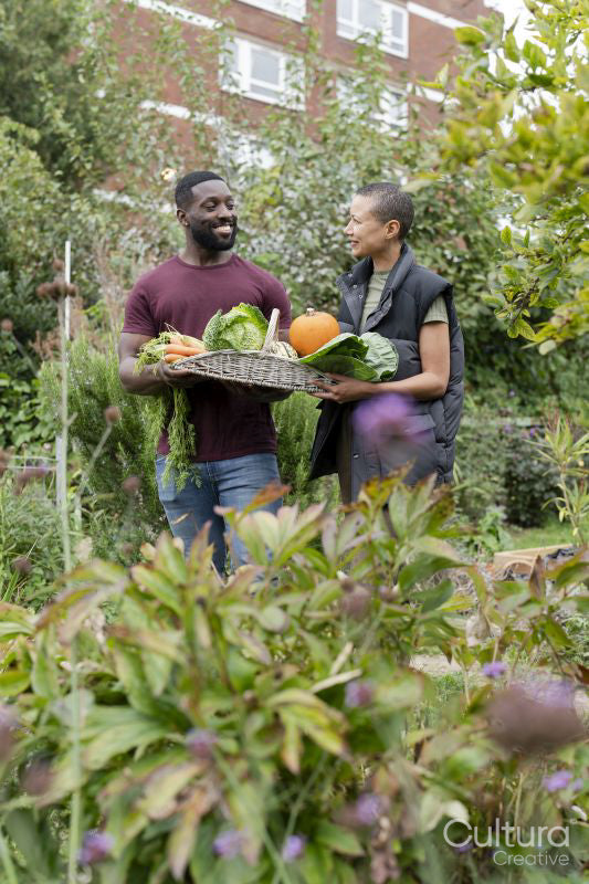 Portrait of smiling couple holding basket with fresh vegetables in urban garden