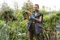 Portrait of woman holding bunch of carrots in urban garden