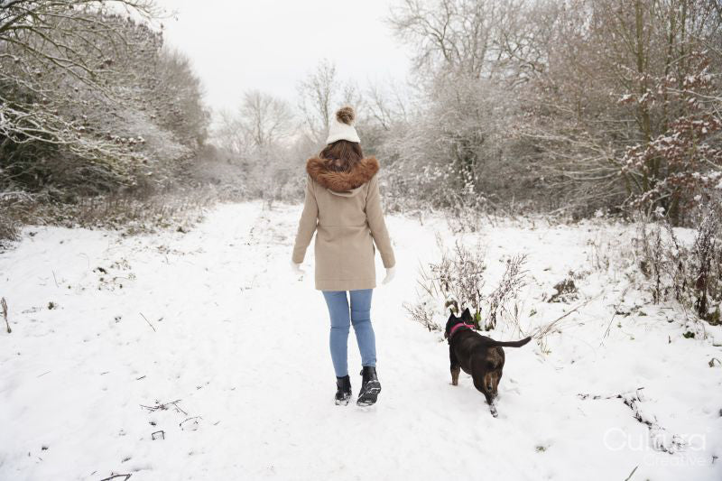 Rear view of woman walking with dog in snow covered landscape