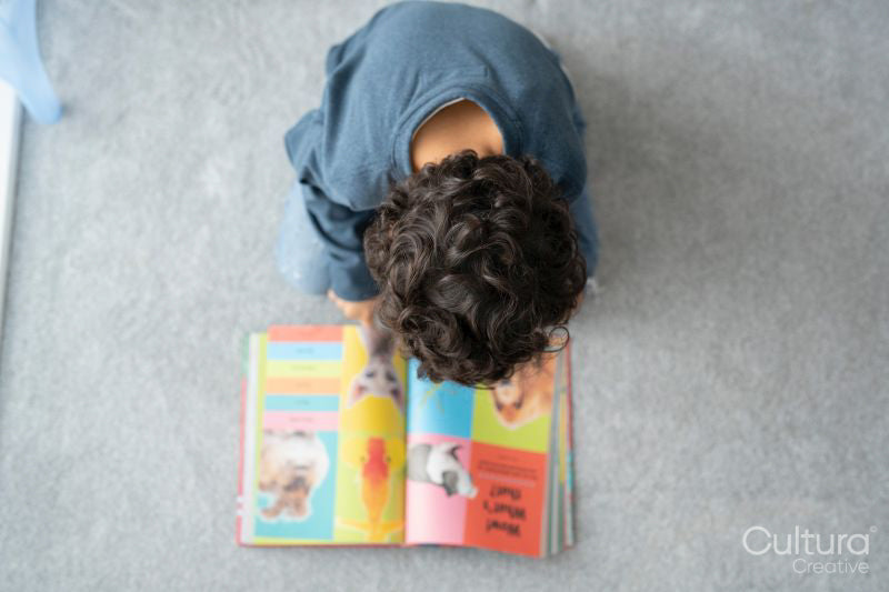 Overhead view of boy reading book at home