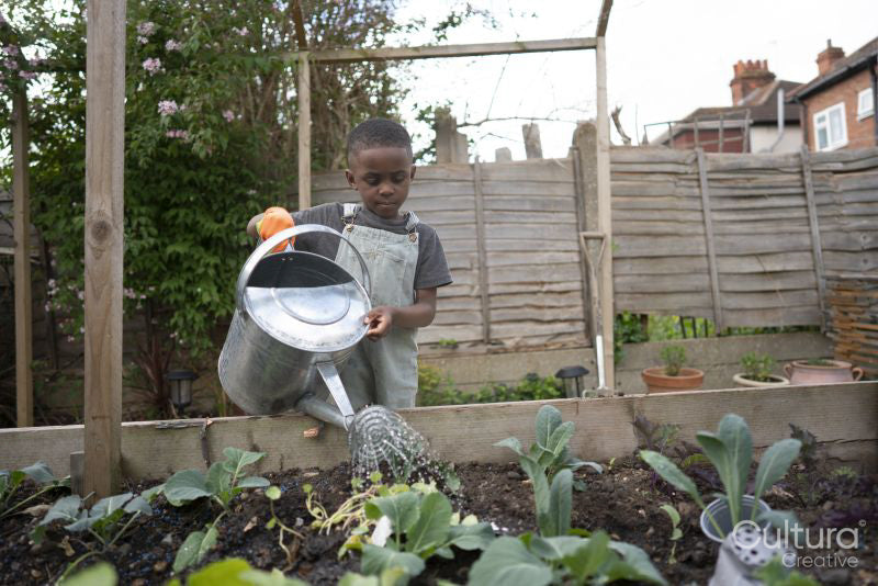 Boy watering plants in garden