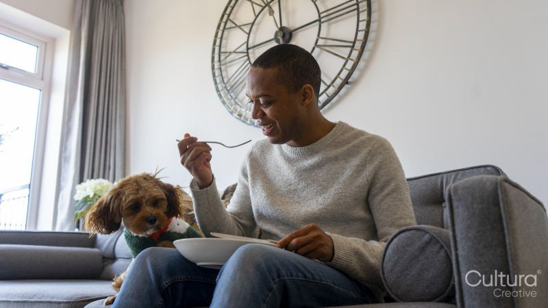Man eating lunch on sofa, dog sitting by