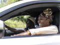 Smiling couple in car during road trip