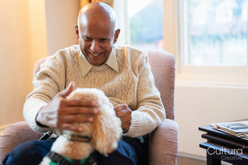 Senior man sitting in armchair and petting dog