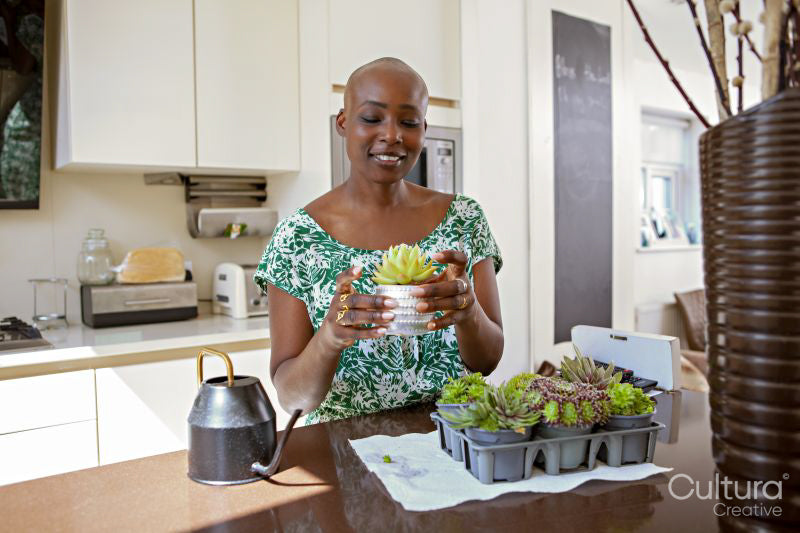 Woman potting plant in kitchen