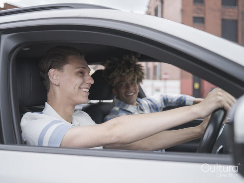 Smiling male couple driving car