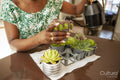 Woman watering succulent plant