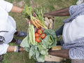 Mature couple holding vegetables from garden