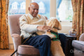 Senior man sitting in armchair and petting dog