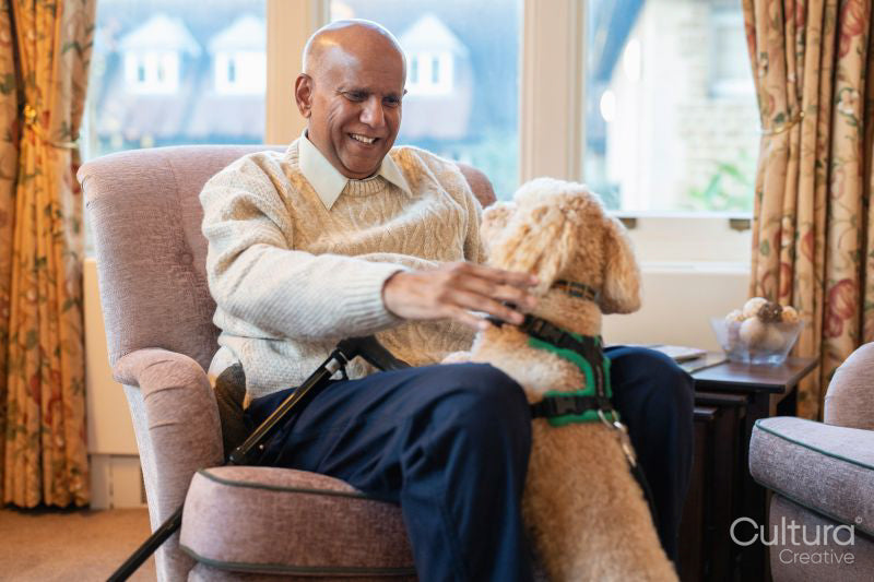 Senior man sitting in armchair and petting dog
