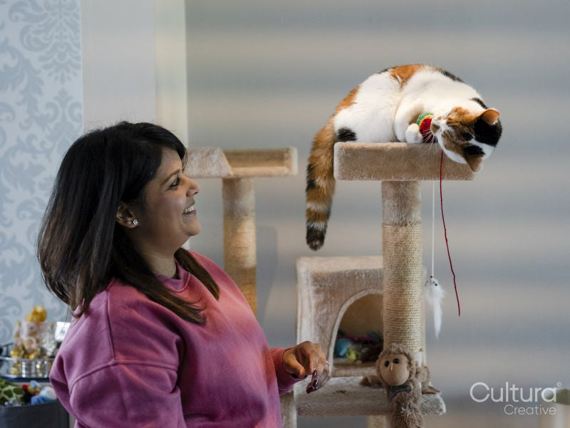 Woman and cat playing with toys on scratching post at home