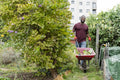 Portrait of smiling man with vegetables in wheelbarrow in urban garden
