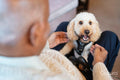 Senior man taking care of dog