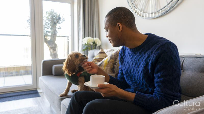 Man with dog sitting on sofa