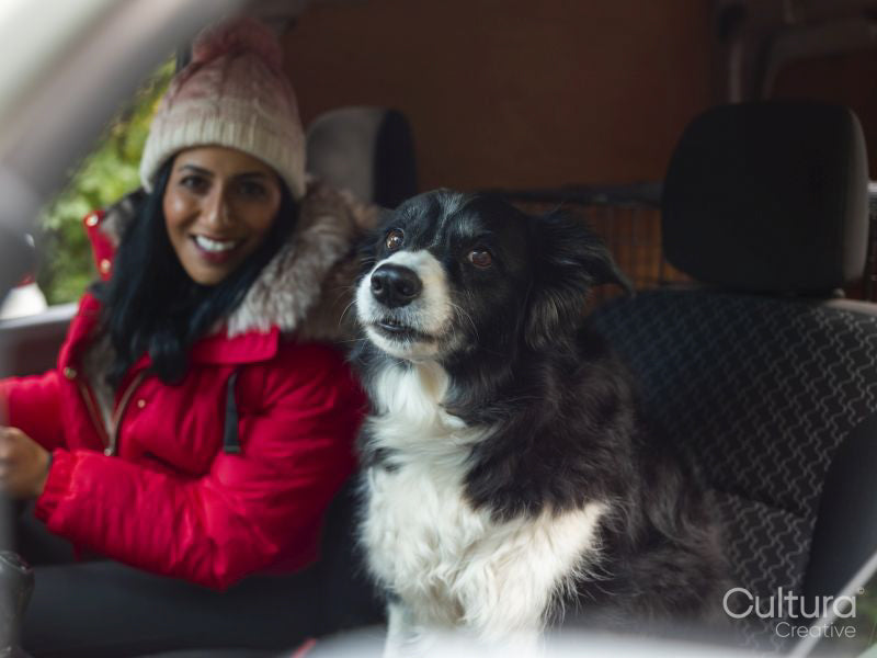Woman driving car with dog in passenger seat