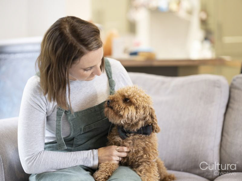 Woman sitting on sofa with dog