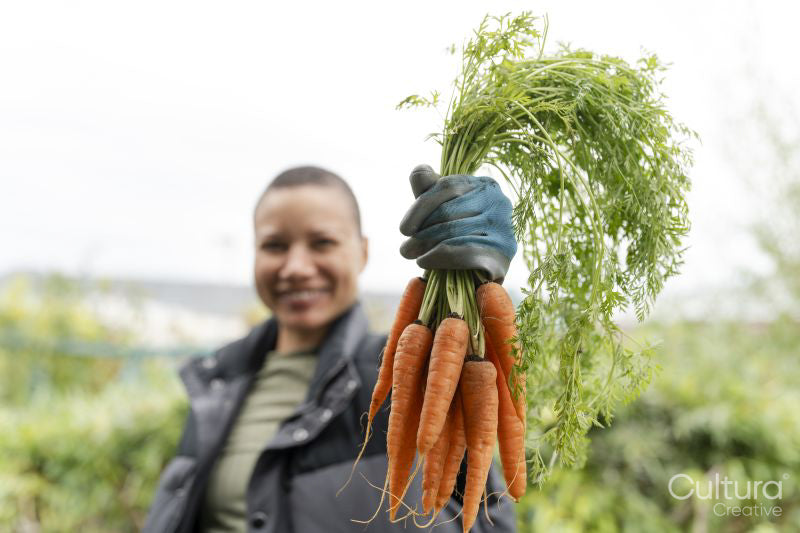 Portrait of smiling woman holding bunch of carrots in urban garden