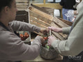 Volunteers sorting vegetables in community food center