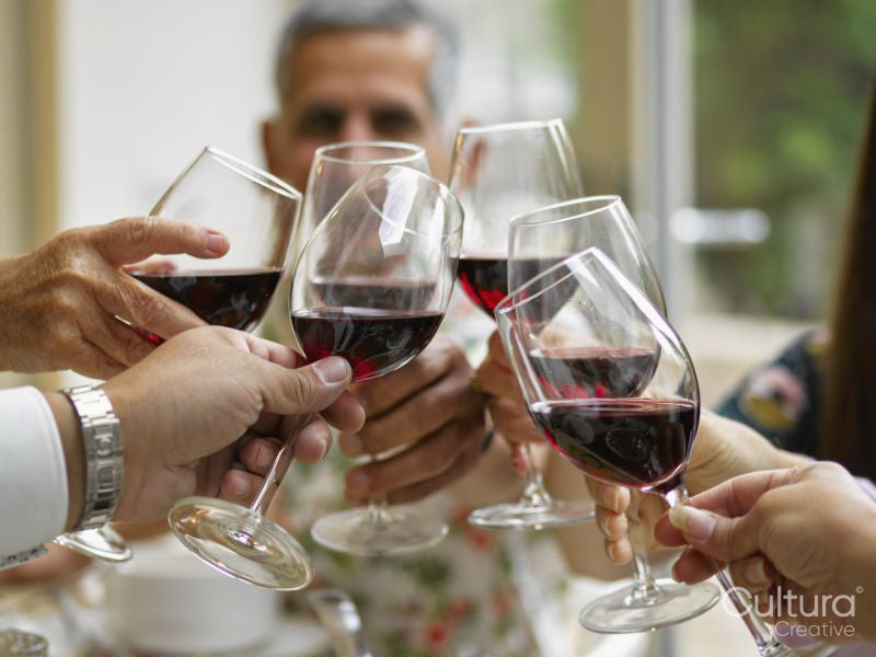 Close-up of family toasting with red wine