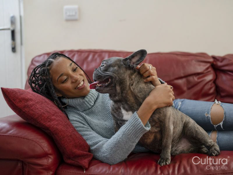 Woman and dog resting on sofa in living room