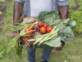 Man holding vegetables from garden