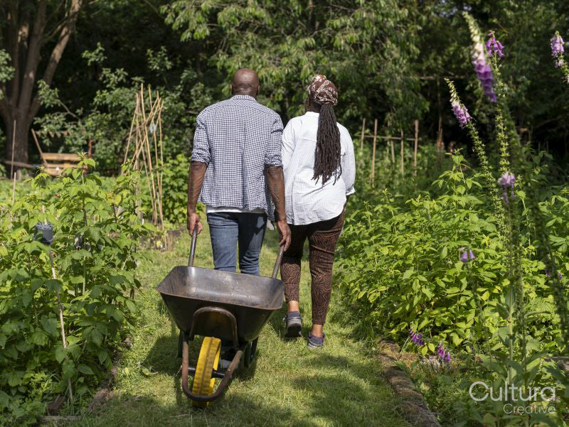 Mature couple gardening in allotment