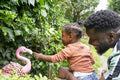 Father and daughter looking at flamingo sculpture in garden