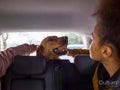 Girl with dog in car