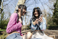 Young female friends using phone in park