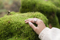 Close-up of woman touching moss