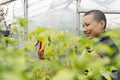 Smiling woman inspecting peppers growing in greenhouse