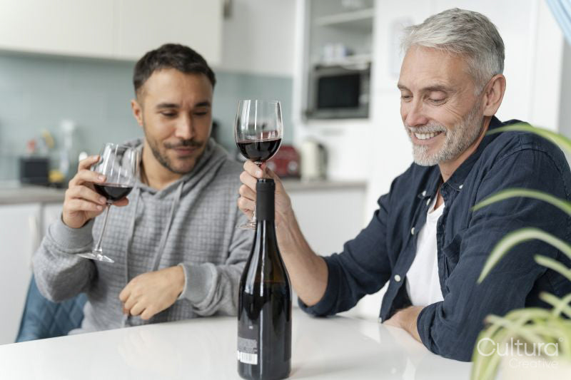 Male couple drinking red wine at home