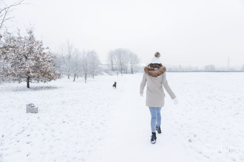 Rear view of woman walking in snowy field with dog