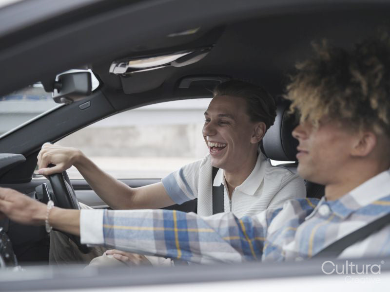 Male couple driving car