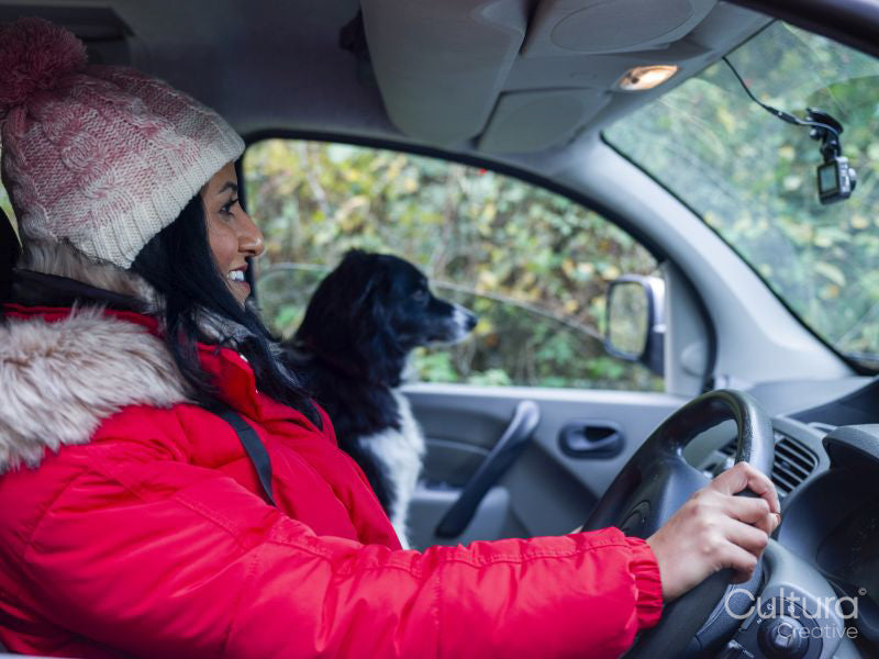 Woman driving car with dog in passenger seat