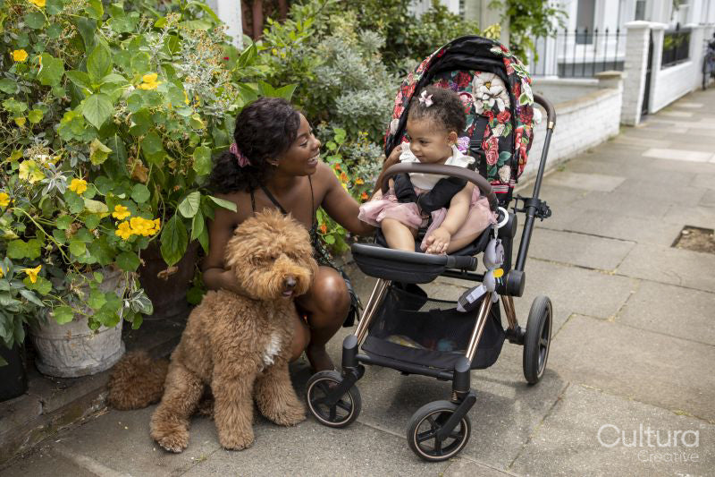 Mother going for walk with baby daughter in stroller and dog