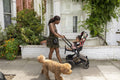 Mother going for walk with baby daughter in stroller and dog