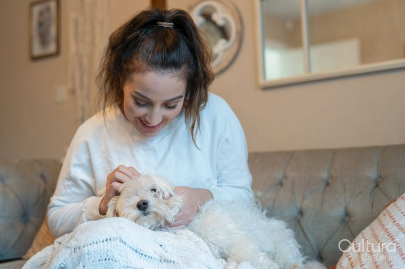 Woman wrapped in blanket sitting on sofa with dog