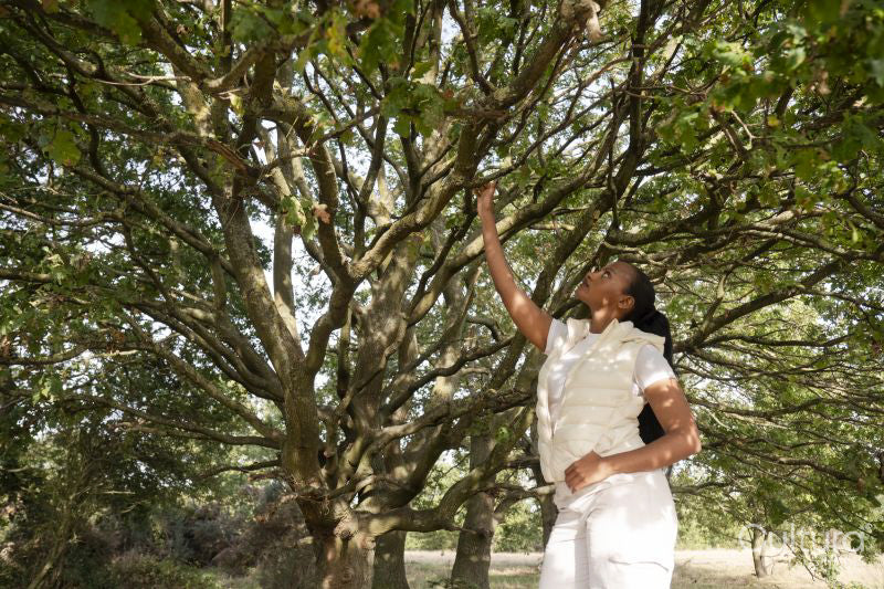 Young woman standing under tree, reaching to branch