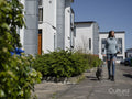 Woman walking with dog in residential district on sunny day