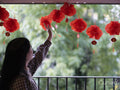 Woman hanging traditional Chinese decorations at home