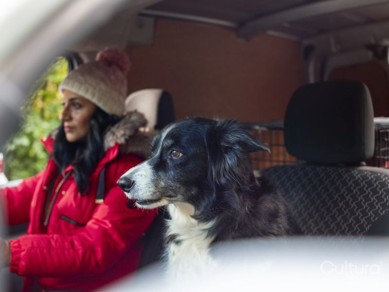 Woman driving car with dog in passenger seat